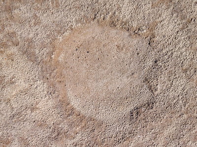 Camel, voetafdruk, zand, dier, voetafdrukken, achtergronden, patroon