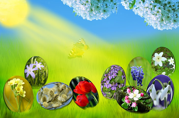 Páscoa, ovos, Primavera, sol, grama, verde, céu