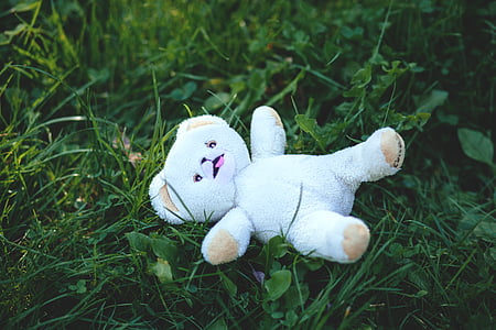 cute, field, grass, stuffed animal, teddy bear, toy, nature