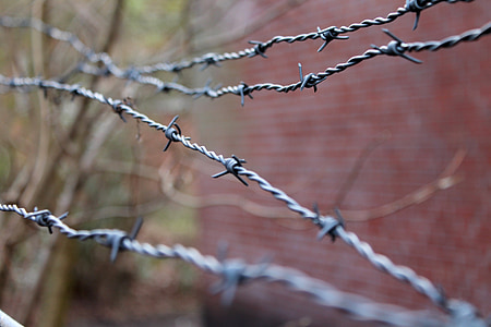 barbed wire, security, wire, close, tiefenschärfe
