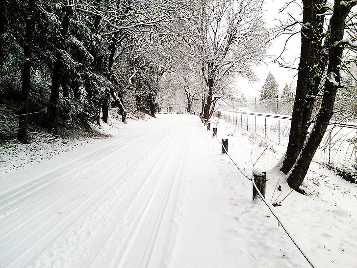 osamelý cestnej, sneh, vidieckej ceste, Počasie, mrazené, stopy pneumatík, železničnej trate
