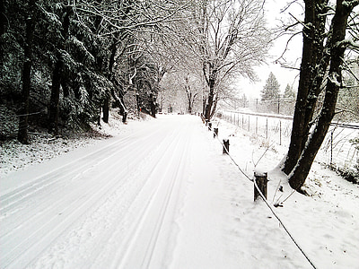 camí solitari, neu, camí rural, temps, congelat, pistes de pneumàtics, vies del tren