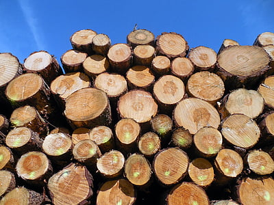 trä, trädstammar, skogsbruk, Logga in, träindustrin, skär ner, holzstapel