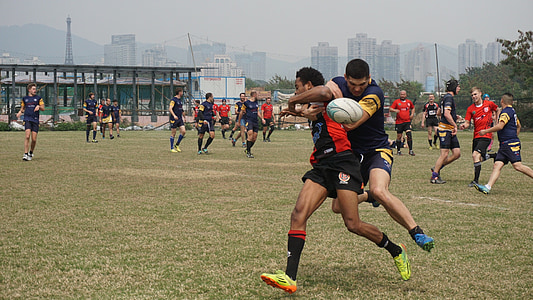 Rugby, sport, mannen, team, aan te pakken, training