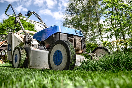 blue, gray, push, lawn, mower, green, grass