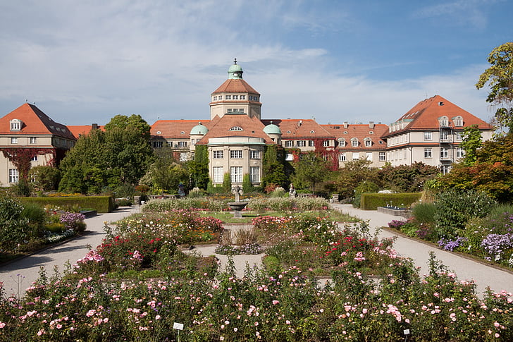 Botanická zahrada, Mnichov, zahrada, parku, závod, květiny, zahradnictví