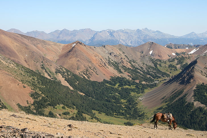 Kanada, Chilcotin, bergen, blå himmel, häst, blåsigt pass, vildmarken