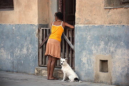 femme, chien, Cuba, conversation de voisin, personne