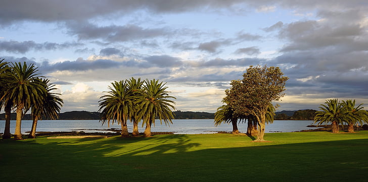 bay of islands, new zealand, north island, palm trees, sky, nature, tranquility