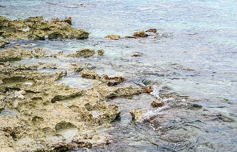 coral, water, rocks, sea, tropical, reef, exotic