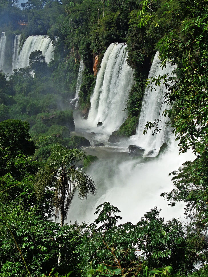 cataratas do iguaçu, brazil, waterfall, river, nature, water, forest