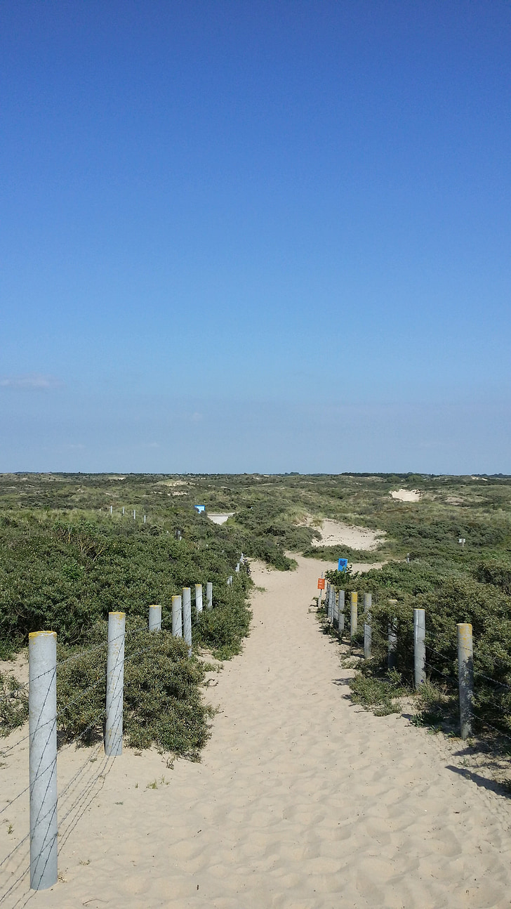 Holland, mer du Nord, Zandvoort, plage, Côte, dunes, Sky