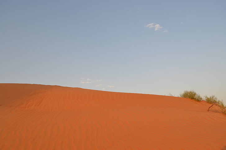 désert, Dubai, Safari, dunes