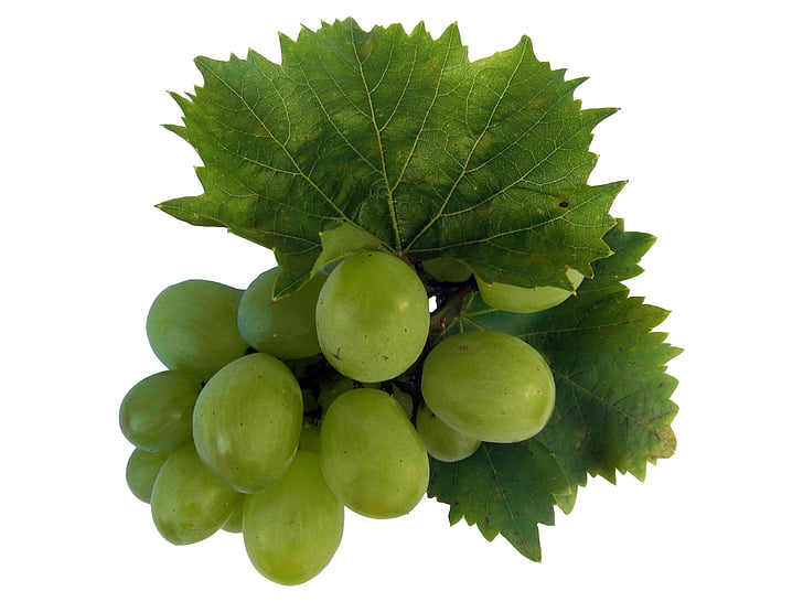 şarap, şarap yaprak, üzüm, sonbahar dekorasyon, Sonbahar, Dekorasyon, Gıda