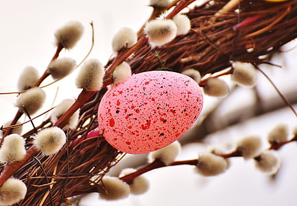 върба, Пролет, Великденско яйце, Великден, цвят, цветни, поздрав за Великден