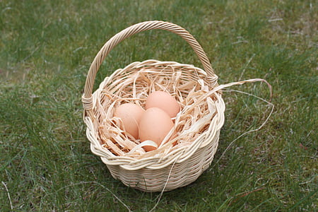 Velikonoce, vajíčko, Koš, hnízdo, Velikonoční vejce, velikonoční pozdrav, křehkost