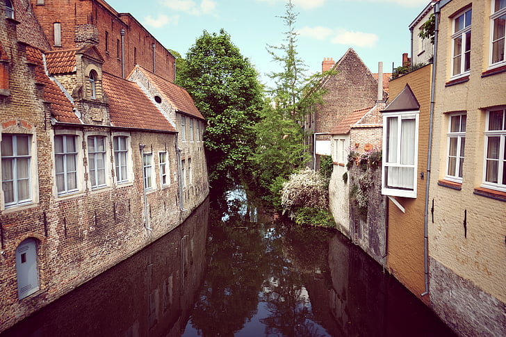 kanal, vatten, Brugge, Brygge, sommar, våren, hösten