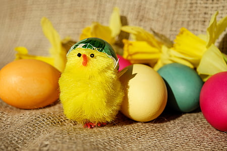 easter theme, easter, figure, chicks, yellow, cute, funny