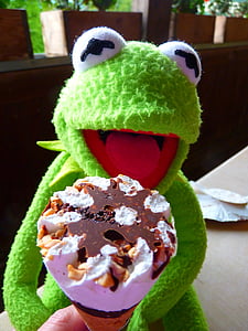 grenouille, Kermit, manger, glace, faim