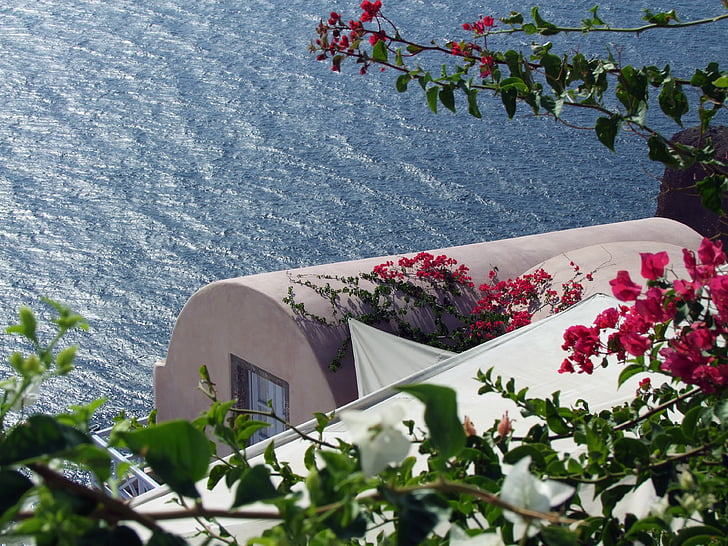 Talo meren rannalla, kraatteri vanteen, kykladialaistyylillä, Bougainville, kasvi, romanttinen, Kreikka santorin