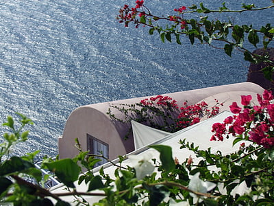 Kuća uz more, ruba kratera, Cycladic stil, Bougainville, biljka, romantična, Grčka santorin