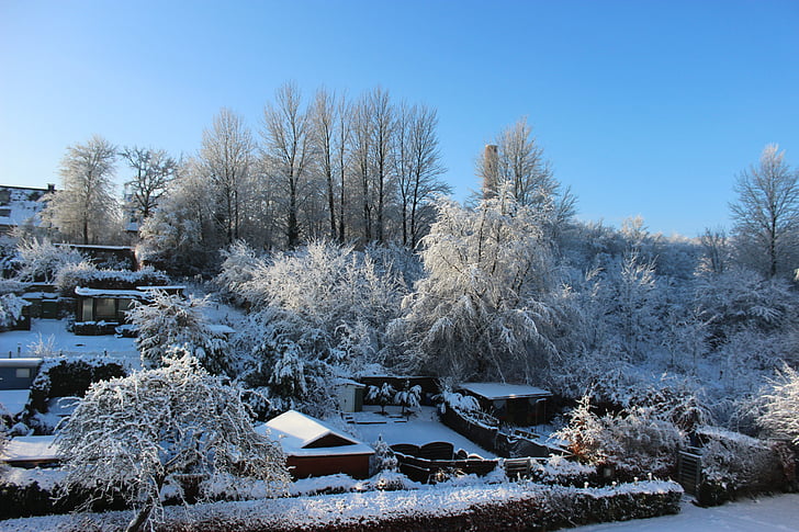 paesaggio invernale, neve, cielo blu