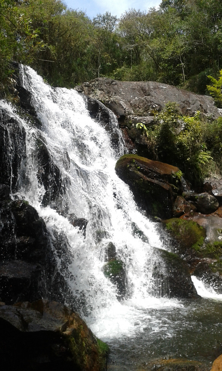 nature, waterfall, rocks, forest, cascade, rio, landscape