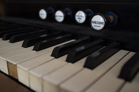 harmonium, orgel, Registrera dig, nycklar, handbok, klaverinstrument, tangentbord