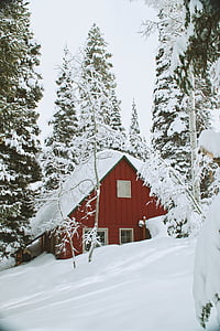 rød, malt, huset, foran, snø, avkortet, trær