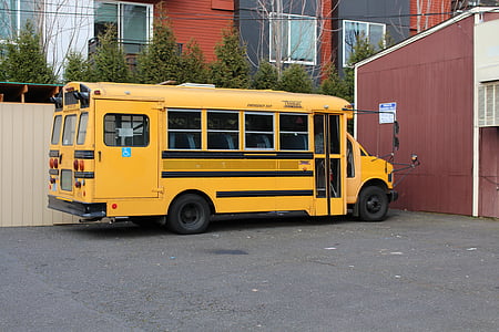 ônibus escolar, amarelo, veículo