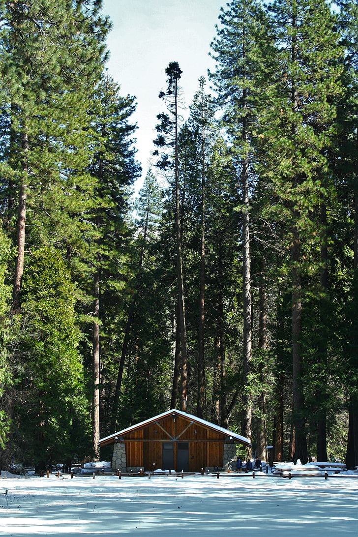 yosemite, log house, mountain hut, arboretum, woods, snow, blue sky