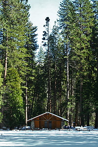 yosemite, log house, mountain hut, arboretum, woods, snow, blue sky