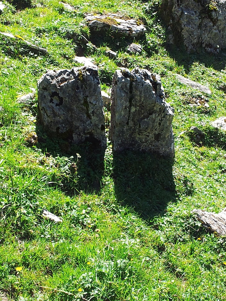 boulders, rock, twin, stone in meadow, stones, simmental, nature