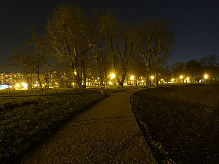Taman, malam, lampu, hutan, perkotaan, jalan
