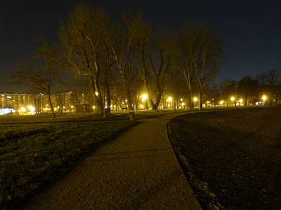 Taman, malam, lampu, hutan, perkotaan, jalan