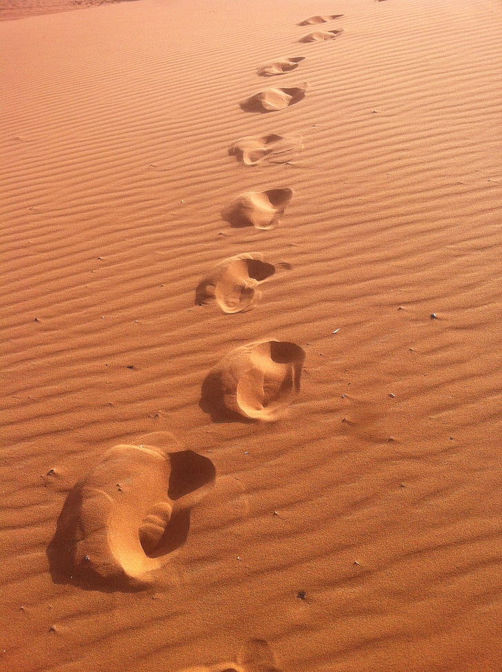 Marokko, reizen, reizen, Afrika, woestijn, Camel, tracks