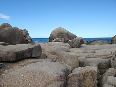 바위, 바위, 돌, 해안선, 해안 선, 생태, 환경