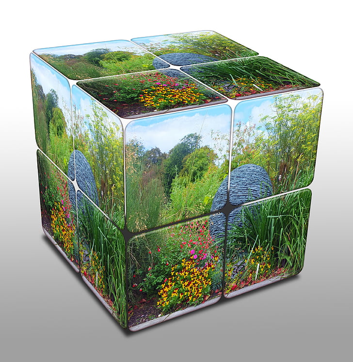 Cube, blomster, skifer, bold, blomstermotiver, græs, dekorative