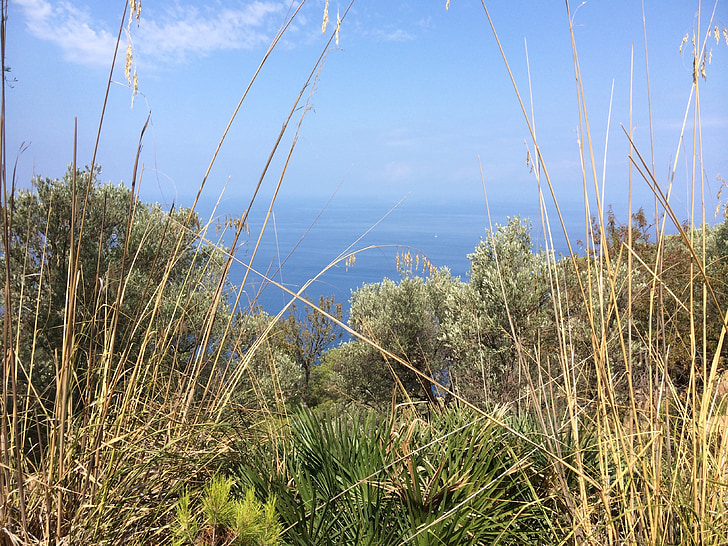 Mallorca, priroda, Prikaz, more, pogled na more