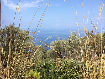Mallorca, daba, skats, jūra, skatu uz jūru