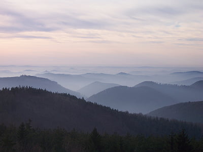 pemandangan, Prancis, alam, Alsace, Vosges Utara, kabut, hutan