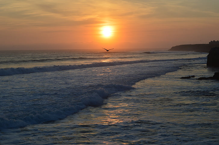 sunset, beach, ocean, coast, dusk, shore, romantic