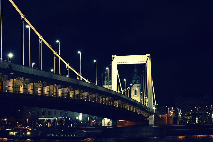 budapest, bridge, elizabeth bridge, at night