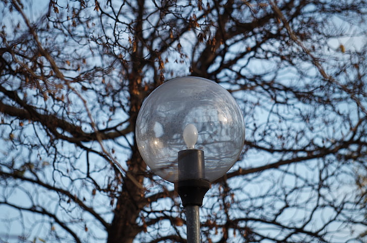 Licht, Lampe, Baum, Park