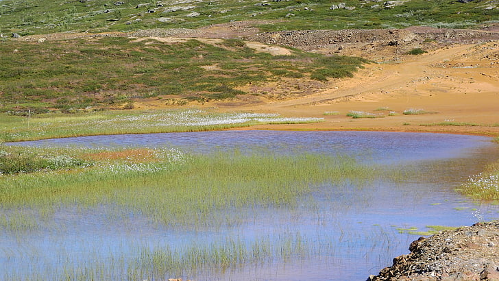 le bassin de résidus, Eriophorum, eau peu profonde, étang, haut-fond, Banque, Storwartz