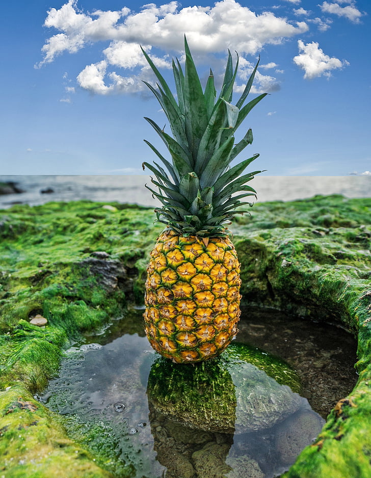 pineapple, fruit, food, healthy, fresh fruit, sweet, fresh