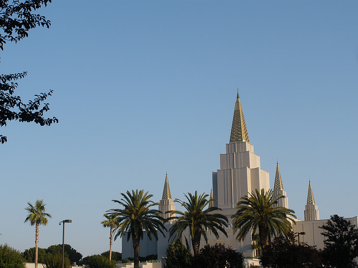 templet, Mormon, arkitektur, Oakland, Palm, träd, guld