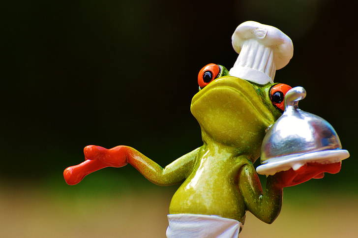 жаба, готвене, ядат, кухня, гурме, храна, подготовка