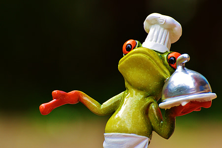 frosk, matlaging, spise, kjøkken, gourmet, mat, forberedelse