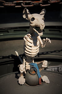 esquelet rata, Granada, boig, criatura, rat mort, snarling, viciós